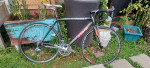 Full carbon Time road bike 52 CM frame unbelievable condition!