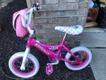12" BIKE $17