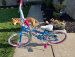 20”  HUFFY BIKE $39