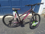 New Mongoose Mountain Bike