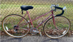 NISHIKI Sport Mixte 10 speed road bike