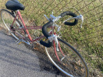 NISHIKI Sport Mixte 10 speed road bike