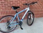 MOUNTAIN BIKE