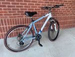 MOUNTAIN BIKE