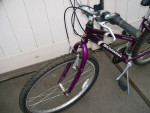 Schwinn Frontier Mountain Bike