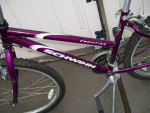 Schwinn Frontier Mountain Bike