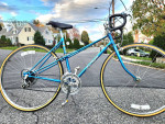 MINT: Saint Tropez Bike | Riders 5'3 - 5'6
