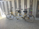 1930’s Schwinn Tandem Antique