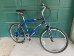 Diamondback Wildwood Comfort Hybrid