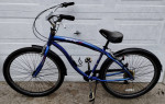 29" Aluminum Genesis GX7 Beach Cruiser