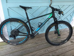 2020 Canyon Exceed MTB - Large