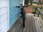 2020 Canyon Exceed MTB - Large