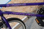 Girl's Purple Bike 24" Tires