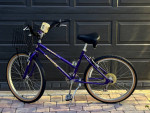 Jamis Boss Cruiser 7 Speed