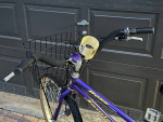 Jamis Boss Cruiser 7 Speed