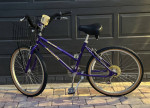 Jamis Boss Cruiser 7 Speed