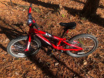 20” specialized hotrock