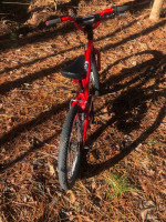 20” specialized hotrock