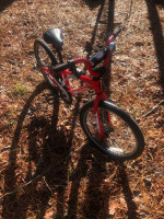 20” specialized hotrock