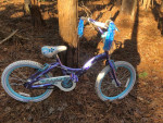 20” schwinn girls bike