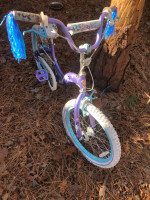 20” schwinn girls bike