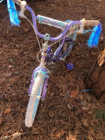 20” schwinn girls bike