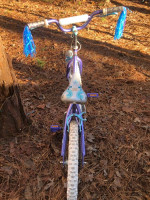 20” schwinn girls bike