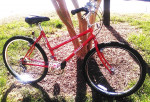Free Spirit Dynasty, 12 speed hybrid