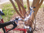 Free Spirit Dynasty, 12 speed hybrid