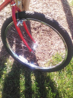 Free Spirit Dynasty, 12 speed hybrid