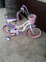 girls 16 in. bloom schwinn