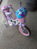 girls 16 in. bloom schwinn