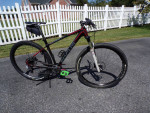 Focus Raven Carbon 29er Mountain bike 19"