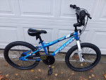 Schwinn Koen 20 Boys Bike