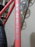 Schwinn Mirada (by Giant) * mountain bike