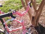 Schwinn Mirada (by Giant) * mountain bike