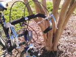 Murray Summerset 10 speed roadster