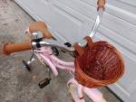 Aceger 16 inch Girls Bike
