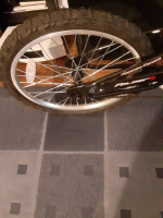 Adam's Trail-A-Bike Folder 1