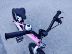 Royal Baby Freestyle 20 Pink