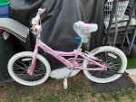 20 INCH  DIAMOND BACK PINK D878