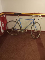 Trek 2.1