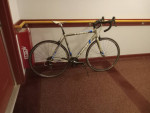 Trek 2.1