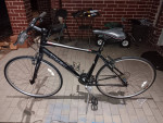 24 speed bike