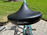 Trek Electra Cruiser 1 Bike