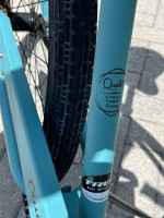 Trek Electra Cruiser 1 Bike