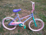 Girls Murray 20" Bike