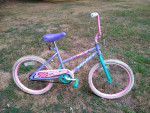 Girls Murray 20" Bike