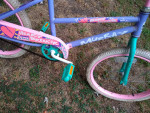 Girls Murray 20" Bike