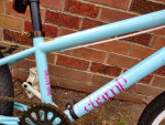 Girls 20" Free Agent Bike